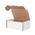 Grading Trading Card Cardboard Storage Box - BCW