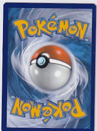 Charizard V SWSH260 Pokemon Sword & Shield Promos