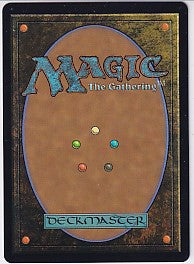 Baylen the Haymaker Borderless Raised Foil - Bloomburrow R 345 Magic the Gathering Card