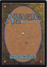Aang's Shelter Borderless - Avatar The Last Airbender M 7 Magic the Gathering Card