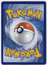 Gladion's Final Battle 118/084 Special Illustration Rare Pitch Black Pokemon Card