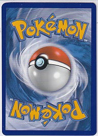 Pikachu Sword & Shield Promo Promo SWSH020
