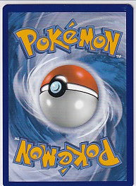 CHARIZARD Vmax 074/073 Champion's Path