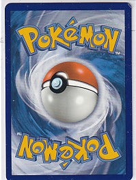 M Lucario EX Holo Promo - Alternate Art Promos 55a/111 Pokemon Card
