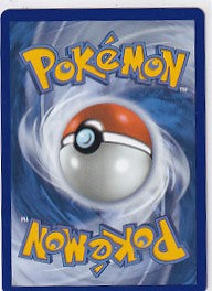 Cyndaquil 047 Pokemon Mega Evolution Promo #2