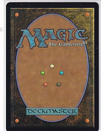 Finneas Ace Archer Borderless Raised Foil - Bloomburrow R 348 Magic the Gathering Card