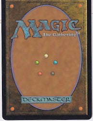 Forest Full Art - Unhinged L 140 Magic the Gathering Card