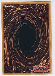 Garden Rose Maiden First Edition Starlight Rare - Doom of Dimensions DOOD-EN101 Yu-Gi-Oh! Card