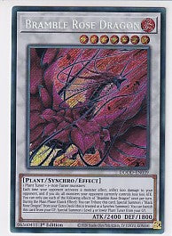Bramble Rose Dragon First Edition Secret Rare - Doom of Dimensions DOOD-EN09 Yu-Gi-Oh! Card