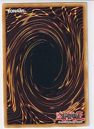 Bramble Rose Dragon First Edition Secret Rare - Doom of Dimensions DOOD-EN09 Yu-Gi-Oh! Card