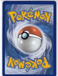 Totodile Holo Promo - Mega Evolution Promos 048 Pokemon Card