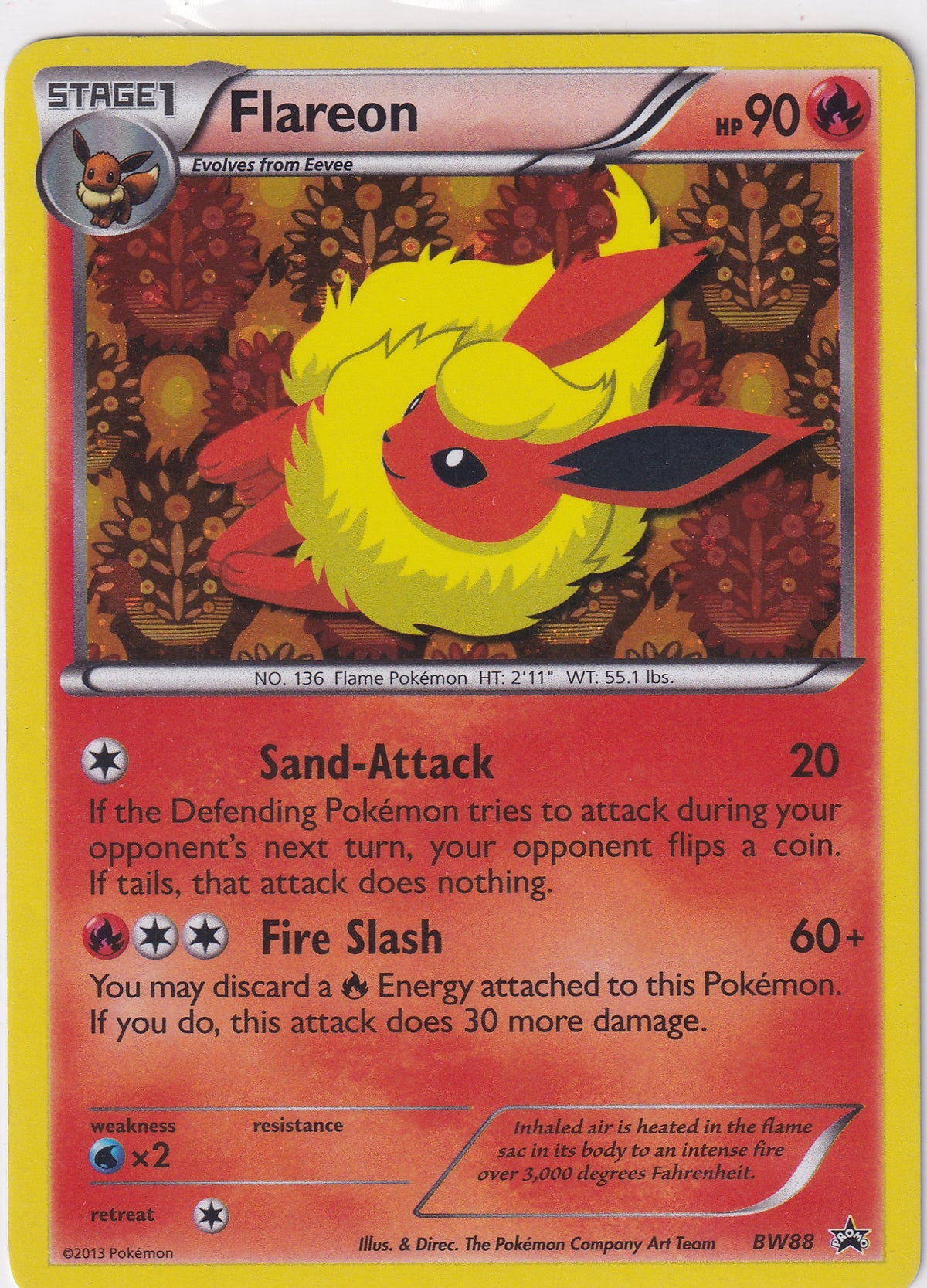 *MP* Flareon Holo Rare Promo - Black & White Promo BW88 Pokemon Card