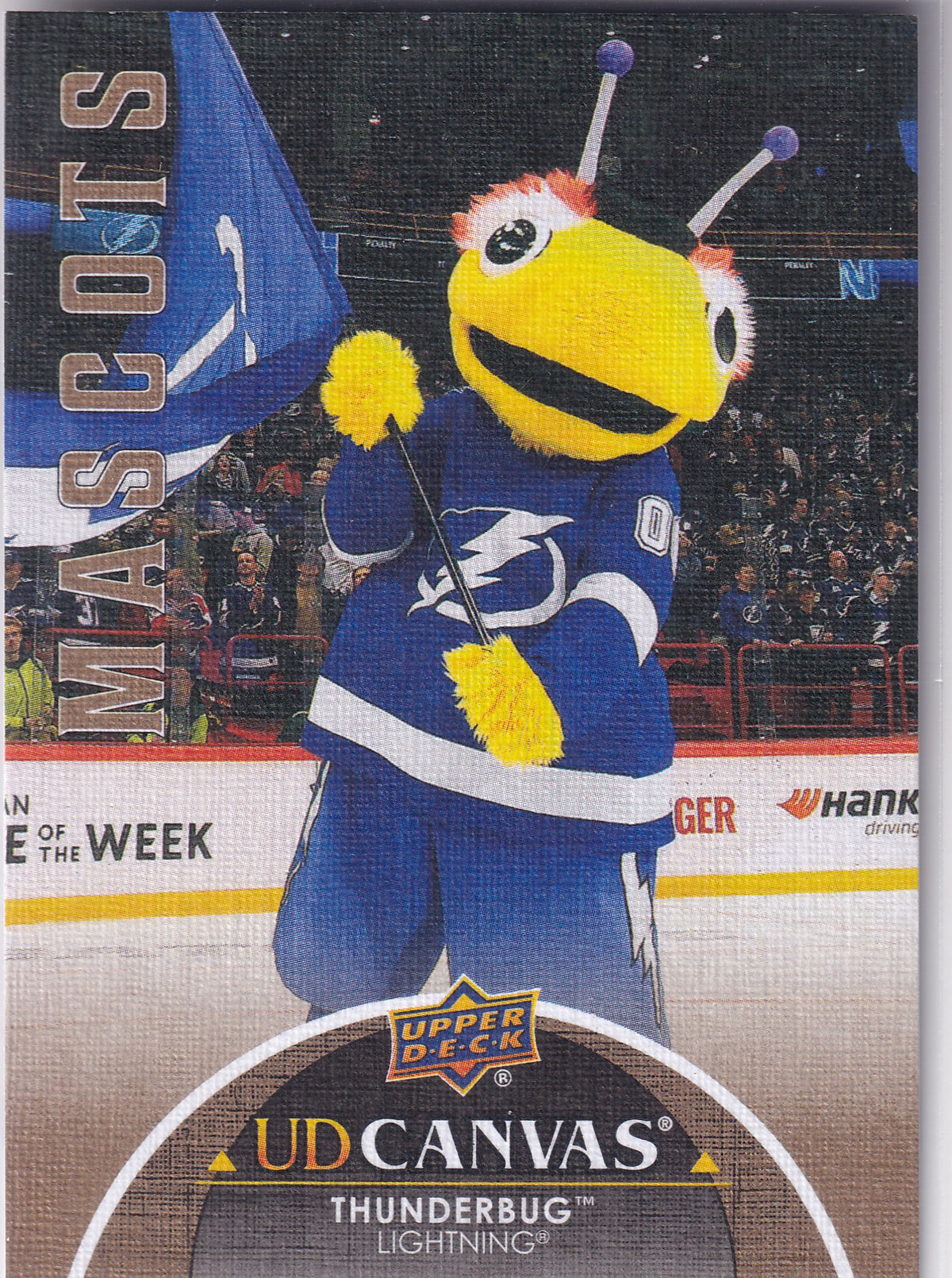 2021-22 Upper Deck Extended Series Thunderbug UD Canvas C415