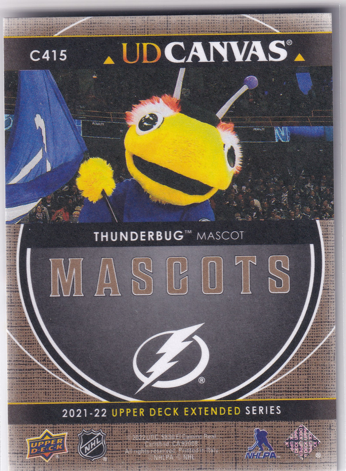 2021-22 Upper Deck Extended Series Thunderbug UD Canvas C415