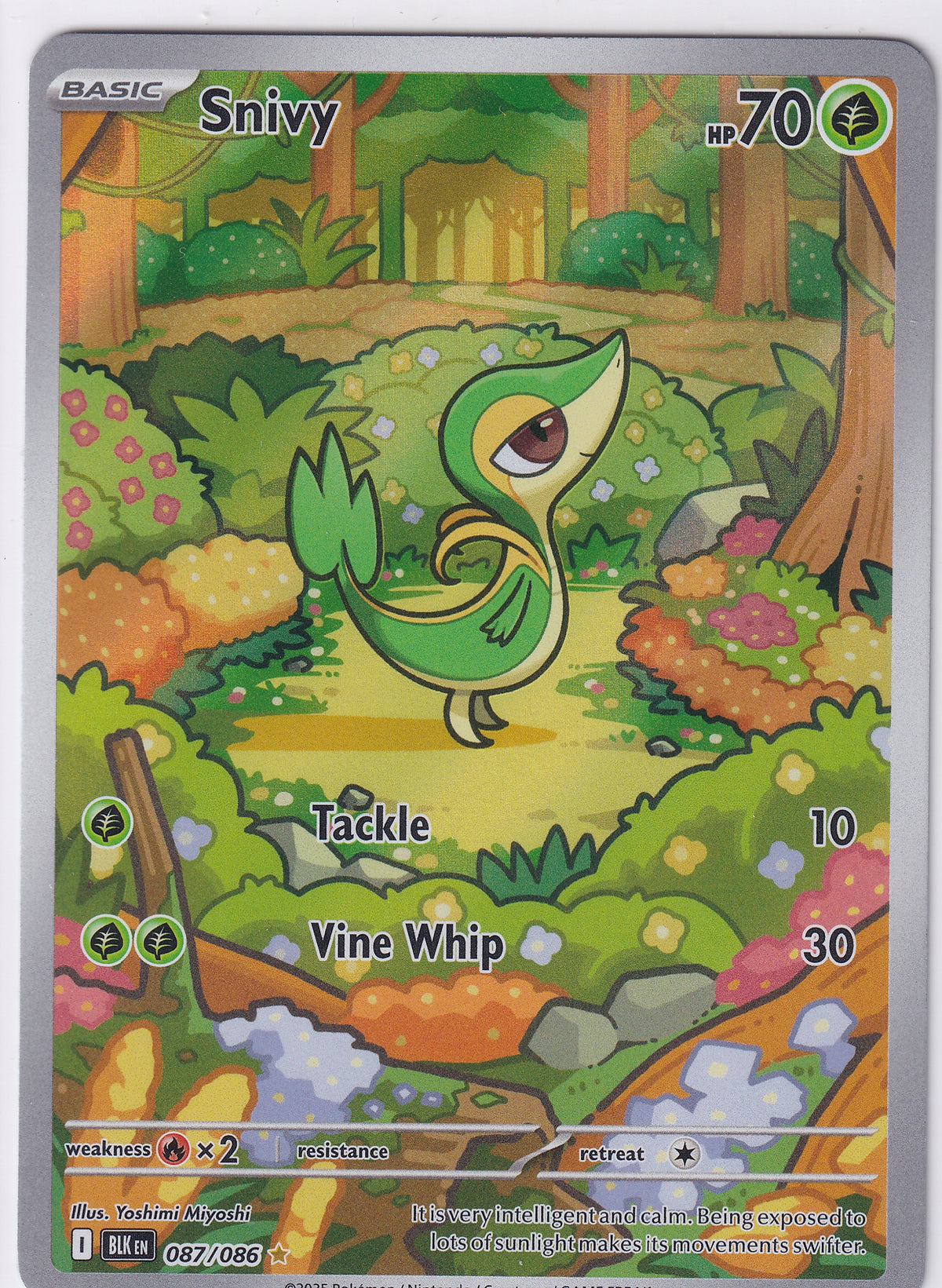 Snivy Illustration Rare - Black Bolt 087/086 Pokemon Card