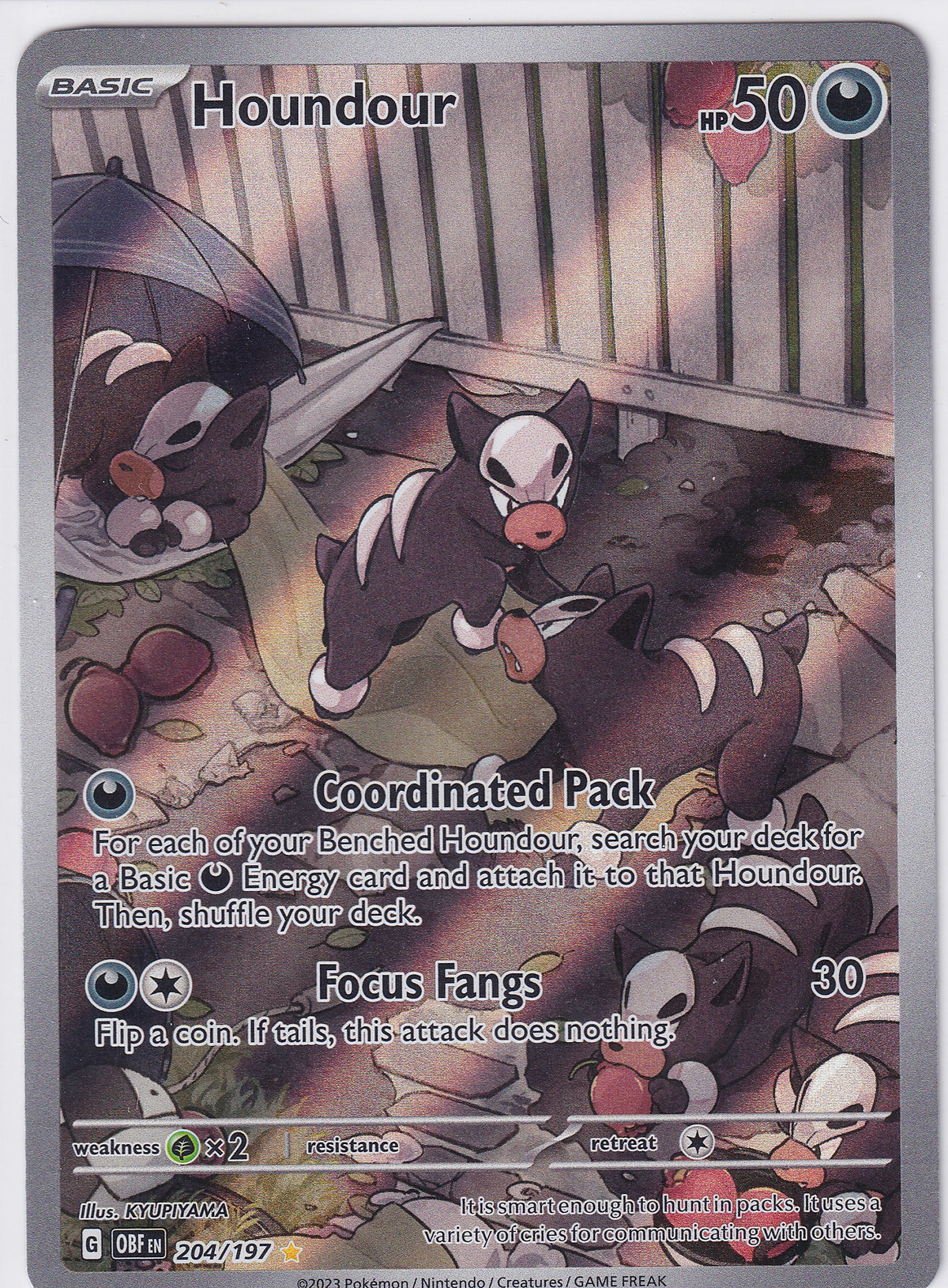 Houndour Illustration Rare - Obsidian Flames 204/197 Pokemon Card