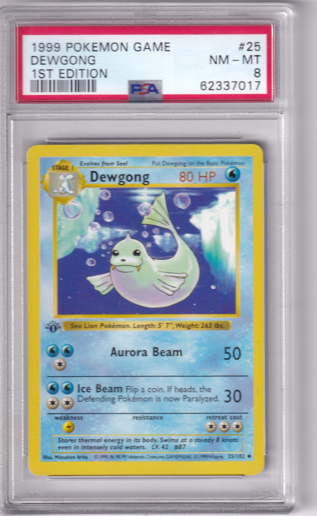 PSA 8 1st Edition Dewgong Pokemon Base Set 1st Edition Shadowless